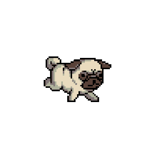 animated pug running